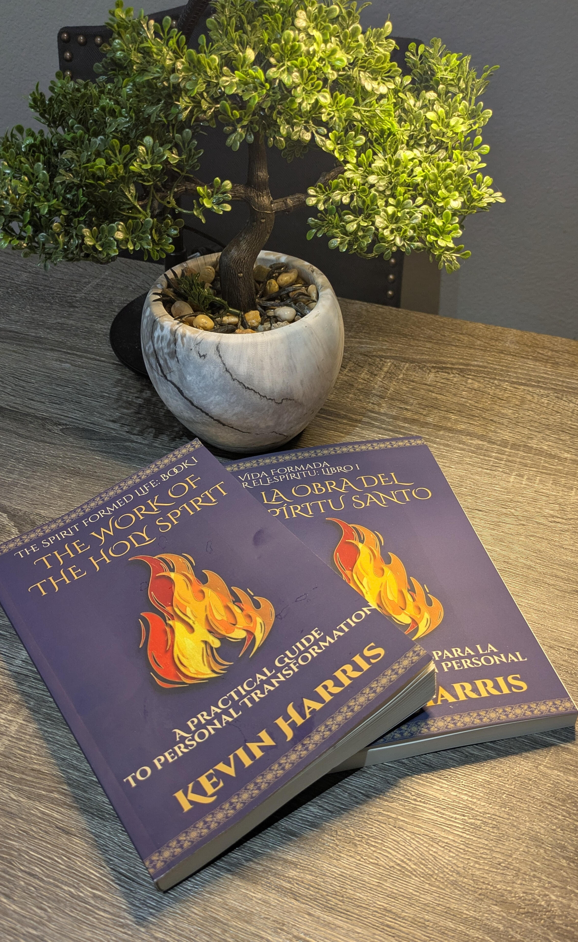 Books on table with plant.